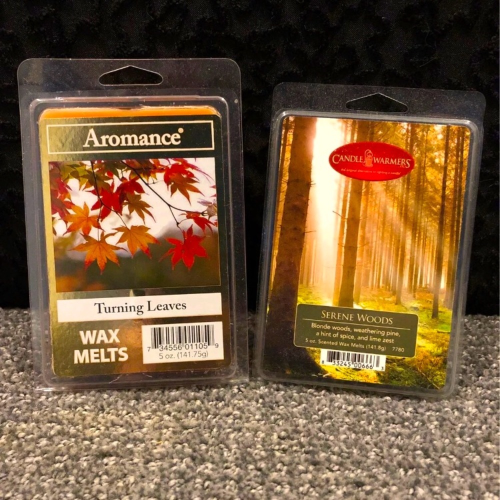 Set of two fall themed wax melts